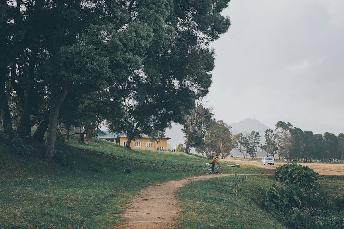 Emerald tea terraces rolling across the Sri Lankan highlands