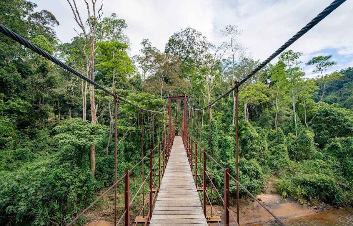 Sinharaja Rain Forest, Sri Lanka